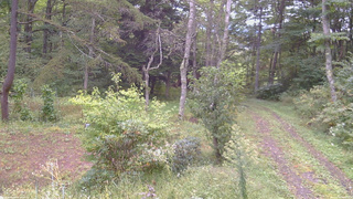 長野県菅平高原 ゆたか山荘 坂上 2026/09/20 08:30