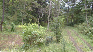 長野県菅平高原 ゆたか山荘 坂上 2026/09/20 09:00