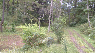 長野県菅平高原 ゆたか山荘 坂上 2026/09/20 09:15