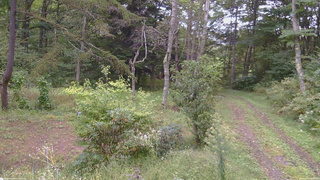 長野県菅平高原 ゆたか山荘 坂上 2026/09/20 09:30
