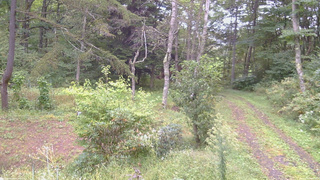 長野県菅平高原 ゆたか山荘 坂上 2026/09/20 09:45