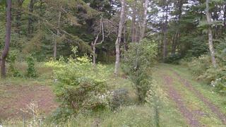 長野県菅平高原 ゆたか山荘 坂上 2026/09/20 10:15