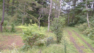 長野県菅平高原 ゆたか山荘 坂上 2026/09/20 10:30