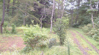 長野県菅平高原 ゆたか山荘 坂上 2026/09/20 10:45