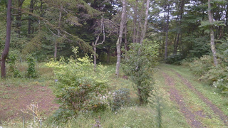 長野県菅平高原 ゆたか山荘 坂上 2026/09/20 11:00