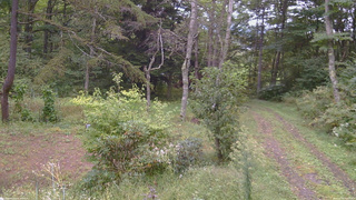 長野県菅平高原 ゆたか山荘 坂上 2026/09/20 11:15