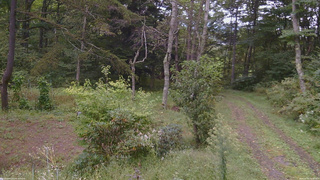 長野県菅平高原 ゆたか山荘 坂上 2026/09/20 11:30