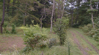 長野県菅平高原 ゆたか山荘 坂上 2026/09/20 11:45