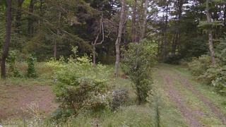 長野県菅平高原 ゆたか山荘 坂上 2026/09/20 12:15