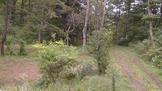 長野県菅平高原 ゆたか山荘 坂上 2026/09/20 12:30