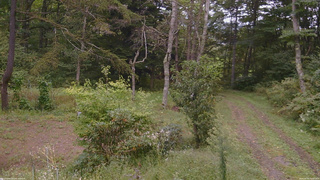 長野県菅平高原 ゆたか山荘 坂上 2026/09/20 12:45