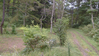 長野県菅平高原 ゆたか山荘 坂上 2026/09/20 13:15