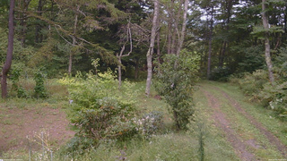 長野県菅平高原 ゆたか山荘 坂上 2026/09/20 14:00