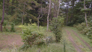 長野県菅平高原 ゆたか山荘 坂上 2026/09/20 14:15