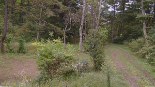 長野県菅平高原 ゆたか山荘 坂上 2026/09/20 14:30