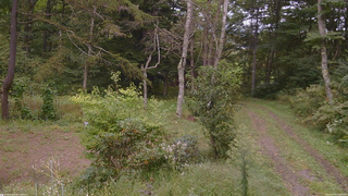 長野県菅平高原 ゆたか山荘 坂上 2026/09/20 15:00