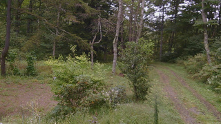 長野県菅平高原 ゆたか山荘 坂上 2026/09/20 15:15