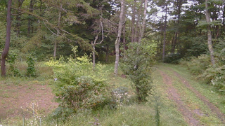 長野県菅平高原 ゆたか山荘 坂上 2026/09/20 15:30
