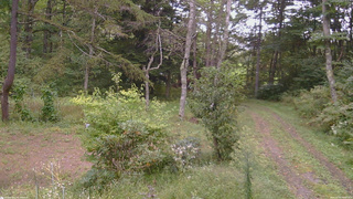 長野県菅平高原 ゆたか山荘 坂上 2026/09/20 16:00