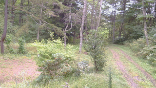 長野県菅平高原 ゆたか山荘 坂上 2026/09/20 16:15