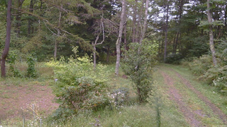 長野県菅平高原 ゆたか山荘 坂上 2026/09/20 16:45