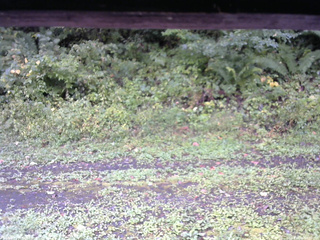 長野県菅平高原 ゆたか山荘 東側(坂下) 2026/09/21 08:30
