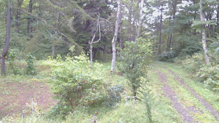 長野県菅平高原 ゆたか山荘 坂上 2026/09/21 06:00