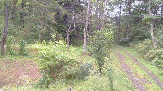 長野県菅平高原 ゆたか山荘 坂上 2026/09/21 06:30