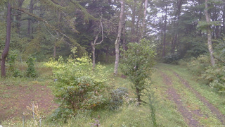 長野県菅平高原 ゆたか山荘 坂上 2026/09/21 07:45