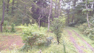 長野県菅平高原 ゆたか山荘 坂上 2026/09/21 08:15