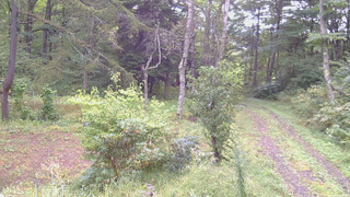 長野県菅平高原 ゆたか山荘 坂上 2026/09/21 08:30