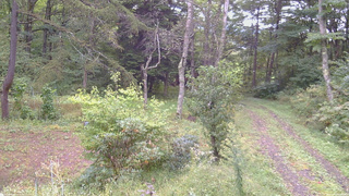 長野県菅平高原 ゆたか山荘 坂上 2026/09/21 08:45