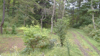 長野県菅平高原 ゆたか山荘 坂上 2026/09/21 09:00