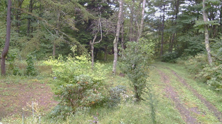 長野県菅平高原 ゆたか山荘 坂上 2026/09/21 09:15