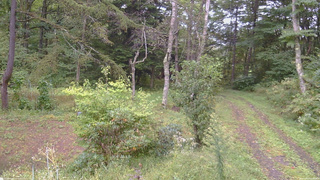 長野県菅平高原 ゆたか山荘 坂上 2026/09/21 09:30