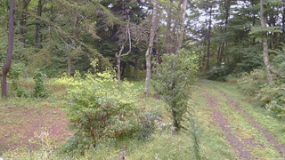 長野県菅平高原 ゆたか山荘 坂上 2026/09/21 09:45