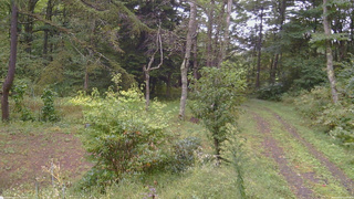 長野県菅平高原 ゆたか山荘 坂上 2026/09/21 10:15