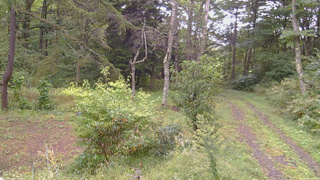 長野県菅平高原 ゆたか山荘 坂上 2026/09/21 10:30