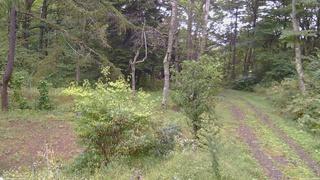 長野県菅平高原 ゆたか山荘 坂上 2026/09/21 11:00