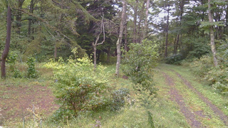 長野県菅平高原 ゆたか山荘 坂上 2026/09/21 11:15