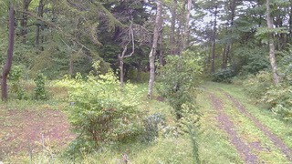 長野県菅平高原 ゆたか山荘 坂上 2026/09/21 12:00