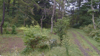 長野県菅平高原 ゆたか山荘 坂上 2026/09/21 12:15