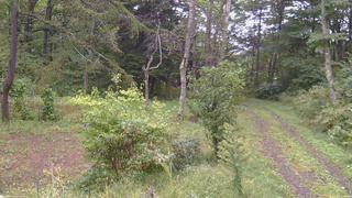 長野県菅平高原 ゆたか山荘 坂上 2026/09/21 12:30