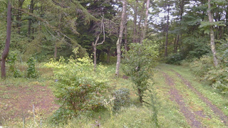 長野県菅平高原 ゆたか山荘 坂上 2026/09/21 12:45