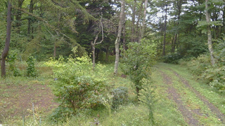 長野県菅平高原 ゆたか山荘 坂上 2026/09/21 13:00