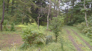 長野県菅平高原 ゆたか山荘 坂上 2026/09/21 13:15