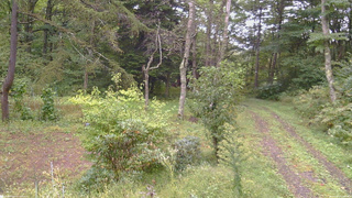 長野県菅平高原 ゆたか山荘 坂上 2026/09/21 13:30