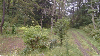 長野県菅平高原 ゆたか山荘 坂上 2026/09/21 13:45