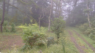 長野県菅平高原 ゆたか山荘 坂上 2026/09/21 14:00