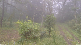 長野県菅平高原 ゆたか山荘 坂上 2026/09/21 14:15